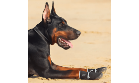 360° Reflektierende Hundeschuhe Wasserdicht – Rutschfeste Hundestiefel mit Pfotenschutz für maximale Sicherheit