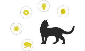 Natürliches Floh- und Zeckenhalsband für Katzen Natürlicher Floh- und Zeckenhalsband für Katzen, gezielter Schutz gegen Flöhe, Zecken, Larven, Läuse und Mücken.