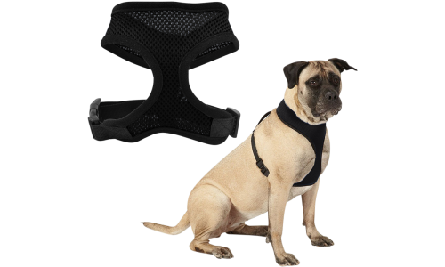 Schwarzes Mesh-Hundegeschirr, leicht, für Komfort designed, mit verstellbaren schwarzen Riemen und strapazierfähigem Clip.