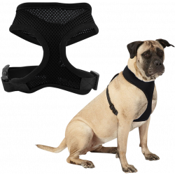 Schwarzes Mesh-Hundegeschirr, leicht, für Komfort designed, mit verstellbaren schwarzen Riemen und strapazierfähigem Clip.