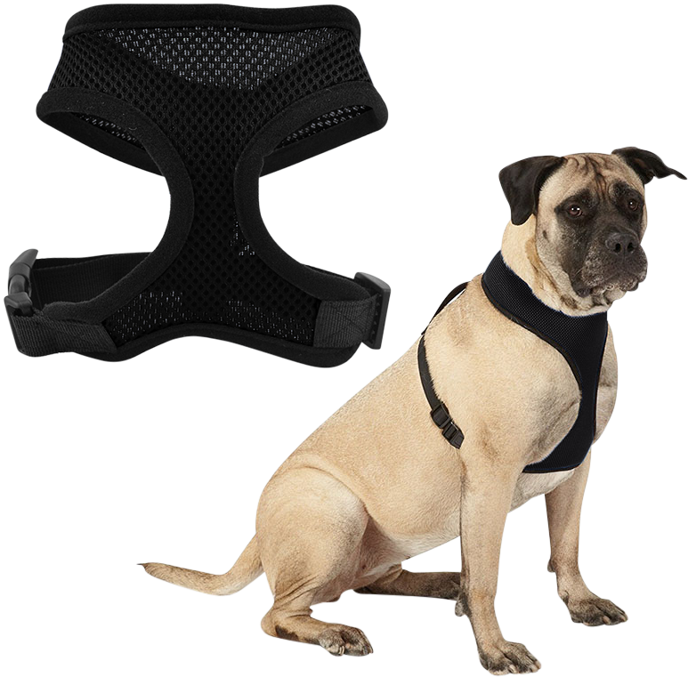 Hundegeschirr Schwarzes Mesh-Hundegeschirr, leicht, für Komfort designed, mit verstellbaren schwarzen Riemen und strapazierfähigem Clip.