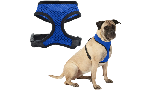 Blaues Mesh-Hundegeschirr, leicht, für Komfort designed, mit verstellbaren schwarzen Riemen und strapazierfähigem Clip.