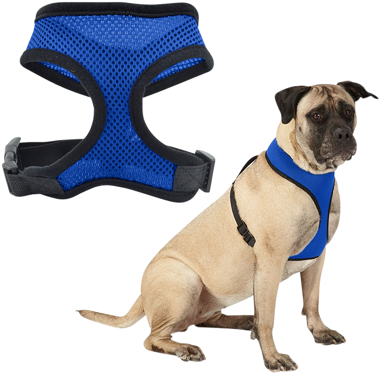 Hundegeschirr Blaues Mesh-Hundegeschirr, leicht, für Komfort designed, mit verstellbaren schwarzen Riemen und strapazierfähigem Clip.