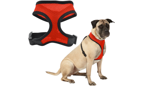 Rotes Mesh-Hundegeschirr, leicht, für Komfort designed, mit verstellbaren schwarzen Riemen und strapazierfähigem Clip.