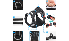 Detailansicht des No-Pull-Hundegeschirrs, kleine Größe, strapazierfähige Schnallen, reflektierende Nähte.