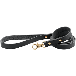 Hochwertige schwarze Echtleder-Hundeleine, 120 cm lang, goldener Metallverschluss und Nieten für Luxus.