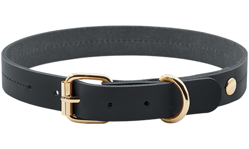 Hochwertiges echtes Leder-Hundehalsband in Tan-Schwarz, 43-53 cm Länge, mit goldenem Schnallen- und D-Ring.