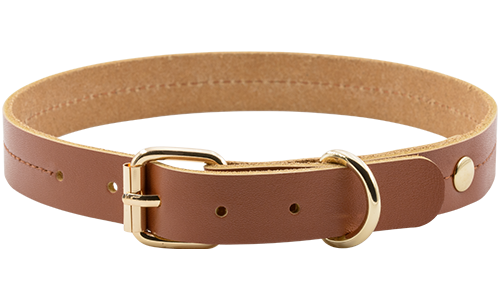 Hochwertiges echtes Leder-Hundehalsband in Tan-Braun, 43-53 cm Länge, mit goldenem Schnallen- und D-Ring.