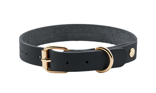 Hundehalsband aus Hochwertigem echtem Leder Hochwertiges echtes Leder-Hundehalsband in Tan-Schwarz, 27-34 cm Länge, mit goldenem Schnallen- und D-Ring.