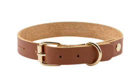 Hundehalsband aus Hochwertigem echtem Leder Hochwertiges echtes Leder-Hundehalsband in Tan-Braun, 27-34 cm Länge, mit goldenem Schnallen- und D-Ring.
