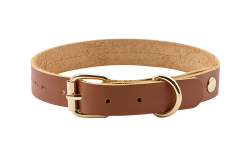 Hundehalsband aus Hochwertigem echtem Leder Hochwertiges echtes Leder-Hundehalsband in Tan-Braun, 27-34 cm Länge, mit goldenem Schnallen- und D-Ring.