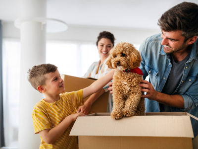 Welpen Erstausstattung: Die ultimative Checkliste für Hunde